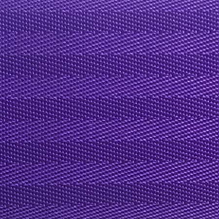 Queue Solutions QueuePro 200, Black, 13' Purple Belt PRO200B-PE130